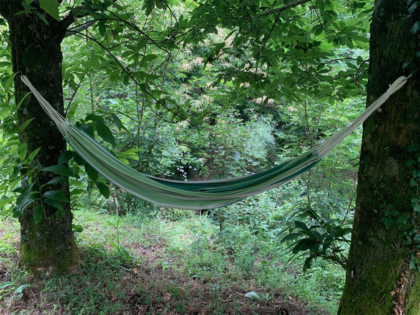 The Nest ~ Your Best Rest セヴェル・ド・ヴォウガ エクステリア 写真